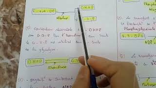 cour N°2 biochimie microbienne la glycolyse L3 [upl. by Annirtak719]