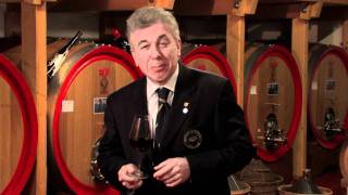 Personal Sommelier Video Degustazione Amarone DOC 2006 Bonazzi amp Boscaini [upl. by Kironde835]