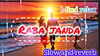 Raba Jaanda song 🎧  slow and reverb  lofi song Rashmika  slowedandreverb lofi song music [upl. by Wallach168]