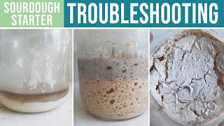 SOURDOUGH STARTER TROUBLESHOOTING  Whats Wrong amp How To Fix It [upl. by Ientruoc]