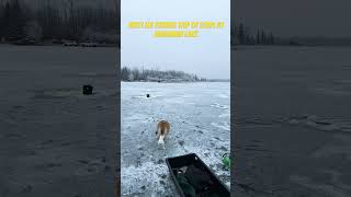 Wabamun Lake 2024 First Ice Fishing Trip of the Season icefishing wabamunlake [upl. by Atirec709]