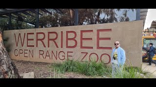 WERRIBEE OPEN RANGE ZOO [upl. by Nihahs59]