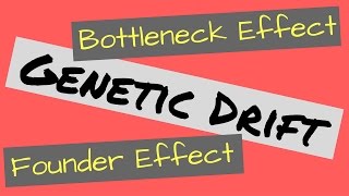 Genetic Drift  Founder Effect and Bottleneck Effect Explained [upl. by Duquette]