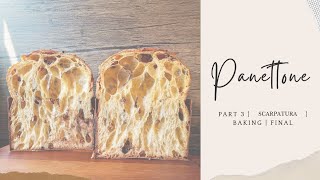 Part 3  How to make Sourdough Panettone at Home [upl. by Quenna594]