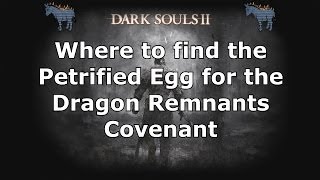 Dark Souls 2 Where to find the Petrified Egg for the Dragon Remnants Covenant [upl. by Anivram]