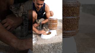 Automatic CatPet Food Feeder लेकर आया [upl. by Enirac694]