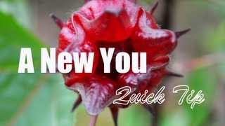 quotA New Youquot Quick Tip  The Health Benefits of Sorrel Drink [upl. by Rodrick269]