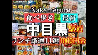 【中目黒駅近ランチ厳選11選】1000円台までオシャレで絶対外さない会話のきっかけにもなるお店・女子会・デートにも使える！ 中目黒 グルメ nakameguro food singen [upl. by Eyram]