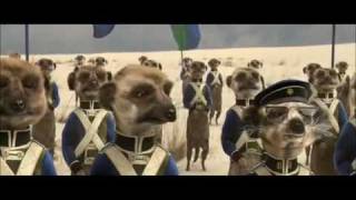 Compare the Meerkat  Advert 8 [upl. by Ellainad912]