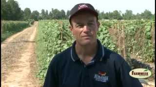 Eubanks Produce Farm quotOur Farm Your Gardenquot Farmweek TV [upl. by Longawa]