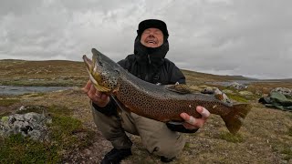 Fluefiske på Hardangervidda 2024 [upl. by Clarette]