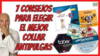 🐶 7 CONSEJOS PARA ELEGIR EL MEJOR COLLAR ANTIPULGAS Y GARRAPATAS PARA PERROS 🐶 [upl. by Sirk228]