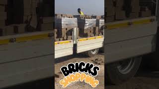 Bricks Shopping villagehouse villagebuilding shortvideo [upl. by Attennaj]