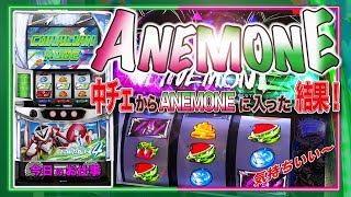 【エウレカ4】中段チェリーからのANEMONE突入！結果はいかに？（50代フリーター パチスロで食う） [upl. by Broeder]