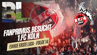 🏆 1 FC KÖLN vs Ulm  Folge 14  EwigeErsteLiga  FANPRIMUS Stadionvlogs [upl. by Selina933]