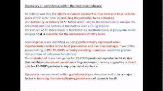 Dormancy of Mycobacterium tuberculosis inside macrophage [upl. by Huntley]