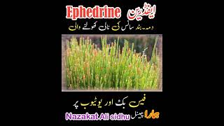 Ephedrine ephedra medicine treatment therapy [upl. by Xuaeb]