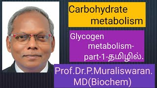 Glycogen metabolism Part1 in tamil Muralis Simplified Biochemistry [upl. by Inajar]