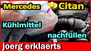 Mercedes Kühlmittel nachfüllen auffüllenTutorial DIY Citan [upl. by Haletky558]