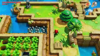 Links Awakening  Part 10 [upl. by Ronny]