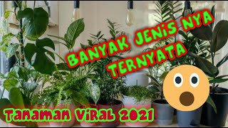 Tanaman viral 2021  ADEM LIHAT NYA [upl. by Laiceps]