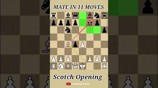 Best Chess Opening for White After 1e4  Scotch Gambit Traps  chesspro [upl. by Hayotal]