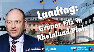 Joachim Paul AfD Hauptsache Haltung Die Parteibuchbeförderungen grüner Bionadepharisäer [upl. by Pirali335]