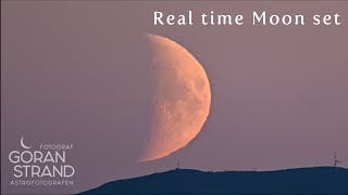 Slow TV  Real time Moonset with green flash [upl. by Taite]