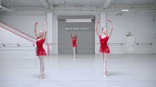 How to do Grand Allegro Combination Real ballet technique class dance ballet dancevideo [upl. by Yehudit19]