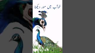 Khwab Mein Mor Dekhna Ki Tabeer  Seeing Peacock In A Dream Interpretation [upl. by Nirrac]