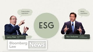 ESG Explained Socially Conscious Capitalism and Its Backlash [upl. by Aynotak]