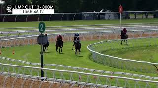 Flemington Jump Outs 15 Nov 2024 Jump Out 13 [upl. by Elwaine763]