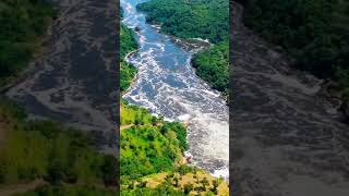 River Nile  MrMnr [upl. by Gannon101]