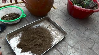 Part2 how to Make Compost Without Bad Smell  Clay Pot Composter Urduhindi [upl. by Eittah]