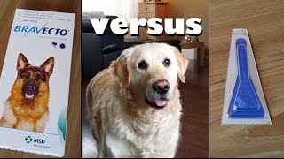 My Dog testing Bravecto Pill vs Spot Ons Anti Flea and Tick protection [upl. by Kantor269]