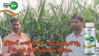 గ్రోమోర్ నానో DAP  మీ మొక్కజొన్న పంటకి ప్రతి సమయం పోషణ [upl. by Enomad]