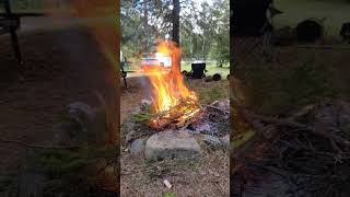 Burning pine brush fire camping outdoors Eckerman Michigan UP [upl. by Blakely]