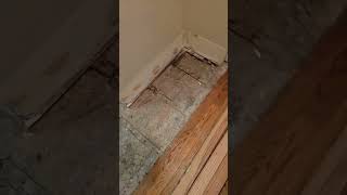 Hardwood subfloor repair video 1 [upl. by Abehs]