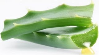 GASTRITIS SOLUCION ALOE VERA SAVILA [upl. by Yrod997]