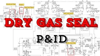 Understand Dry gas seal PampID  Complete Guide [upl. by Aneeuq869]