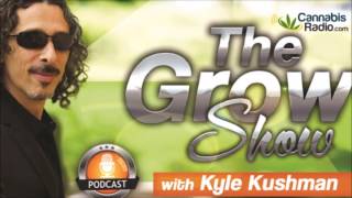 Cannabis Cultivation  Amsterdam VS Colorado  The Grow Show with Kyle Kushman on CannabisRadiocom [upl. by Ara]