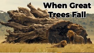 When Great Trees Fall Poem Explanation  Treasure Chest ICSE Class 10  sirtarunrupani [upl. by Etterual]