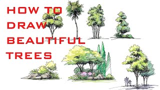 CONCEPTS APP TIPS  HOW TO MAKE BEAUTIFUL TREE SKETCHES Watercolor effect  iPad Pro [upl. by Pasia]