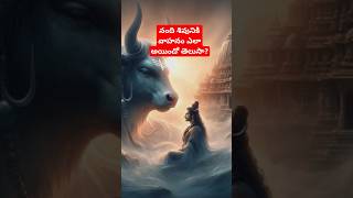 నంది ఎలా శివుడికి వాహనం అయ్యింది  NANDI MYSTERY telugu shiva bhakti nandi shorts krishna ai [upl. by Shoemaker74]