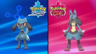 How to Catch Riolu amp Evolve it into Lucario  Pokemon Sword amp Shield [upl. by Elgar]