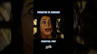 predator vs beruang movie alurfilm film [upl. by Aneger704]