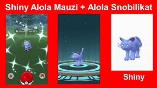 Shiny Alola Mauzi gefangen und entwickelt zu shiny Alola Snobilikat  Pokemon GO Deutsch 155 [upl. by Eisaj]