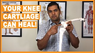 How Knee Cartilage Can Heal Without Surgery [upl. by Eissed]