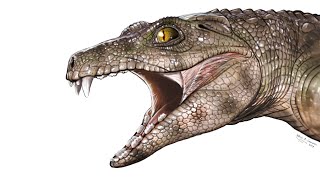 Chimaerasuchus A Herbivorous Crocodylomorph From Prehistoric China [upl. by Jedd]