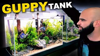 Medium Tech amp Budget Guppy Nature Aquarium Full Tutorial [upl. by Tymes]